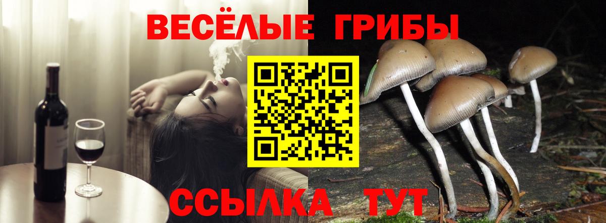 Псилоцибиновые грибы GOLDEN TEACHER Пермь